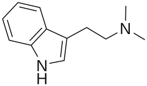 Looking to buy DMT crystals online from a legit vendor? Check out our guide on where to find DMT crystals for sale,  Buy DMT crystals online today!