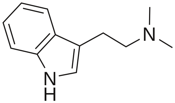 Dimethyltryptamine DMT is a powerful psychedelic drug, and a type of tryptamine alkaloid. It is a naturally occurring substance, Dmt for sale