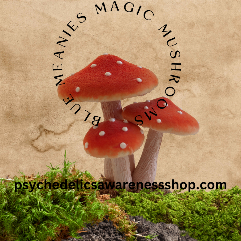 Fungi Mushroom Cottagecore Aesthetics Instagram Post