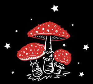Looking to Buy magic mushrooms online in New York City? Look no further than psychedelicsawarenessshop, your trusted source for top-quality psychedelic products delivered right to your doorstep in the heart of the USA.